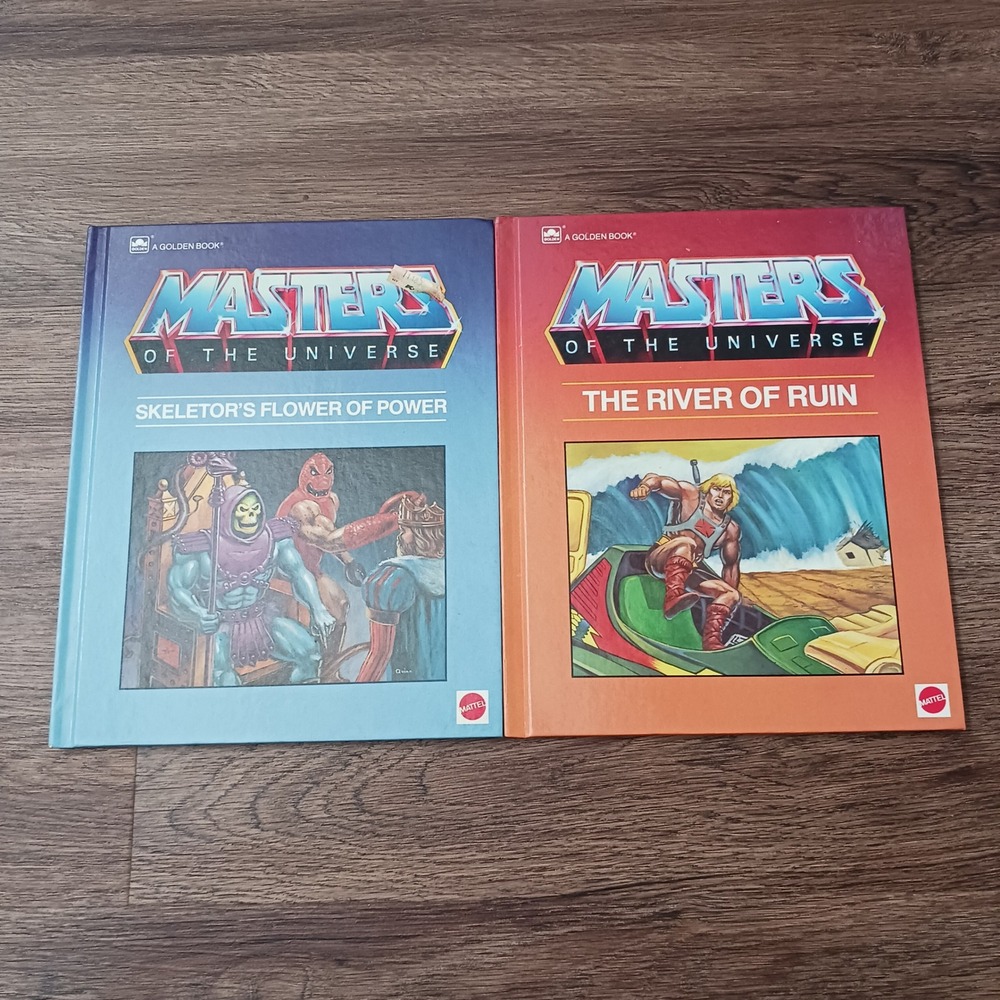 Vintage Masters of the Universe Golden Book Lot He-Man Skeletor 1980s Mattel 2pc